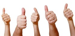 Testimonials & Our Team